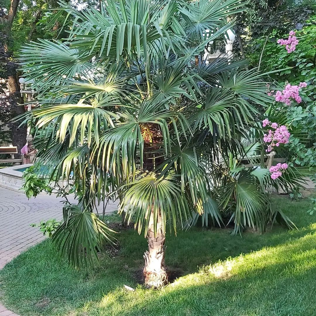 knitted_toys_heart в LOOKY — фото 5