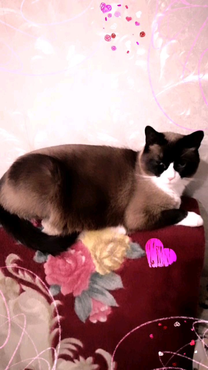 kandyba30olesya в LOOKY. . null