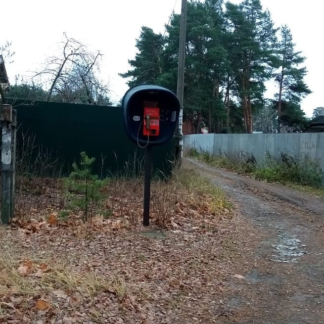 ____soll____ в LOOKY — фото 2