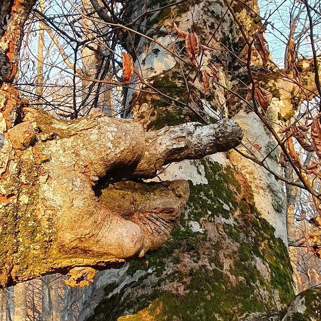 natale__13 в LOOKY. #дорога,#осень,#отпуск,#отдых,#путешествия,#приключения,#фотокемп2021,#друзья,#летопродолжается,#naturephotocamp2021,#benrotripod,#lenspenrussia,#tenbabags. Фотографы, вам - туд...