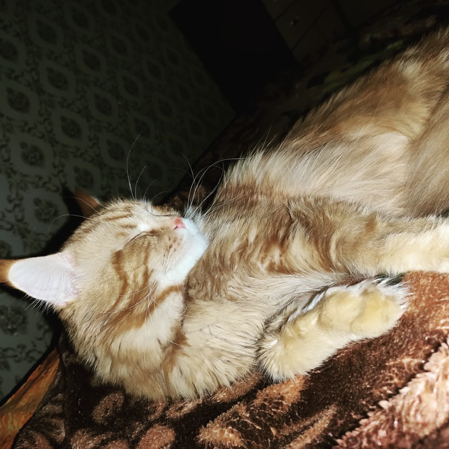 natalya_alekseevnad в LOOKY. . Вечер воскресенья, н...