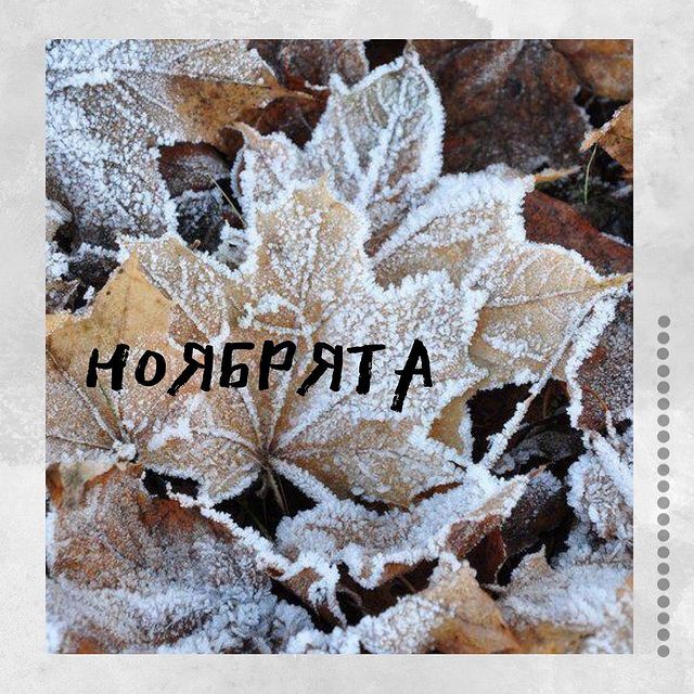 stella_1_numerolog в LOOKY. . Ноябрь - осени закат...