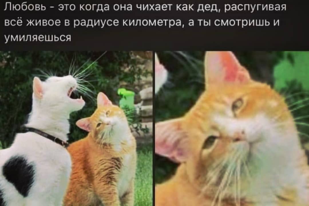 itisverysleepytea в LOOKY — фото 2