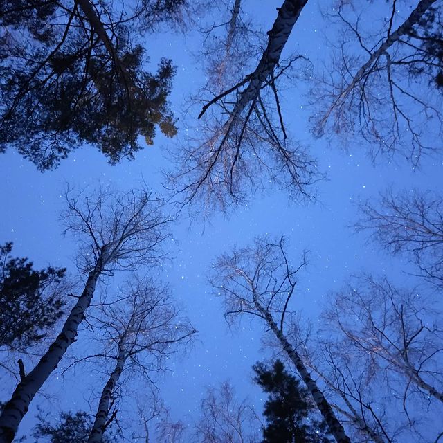 kpronink в LOOKY. . null