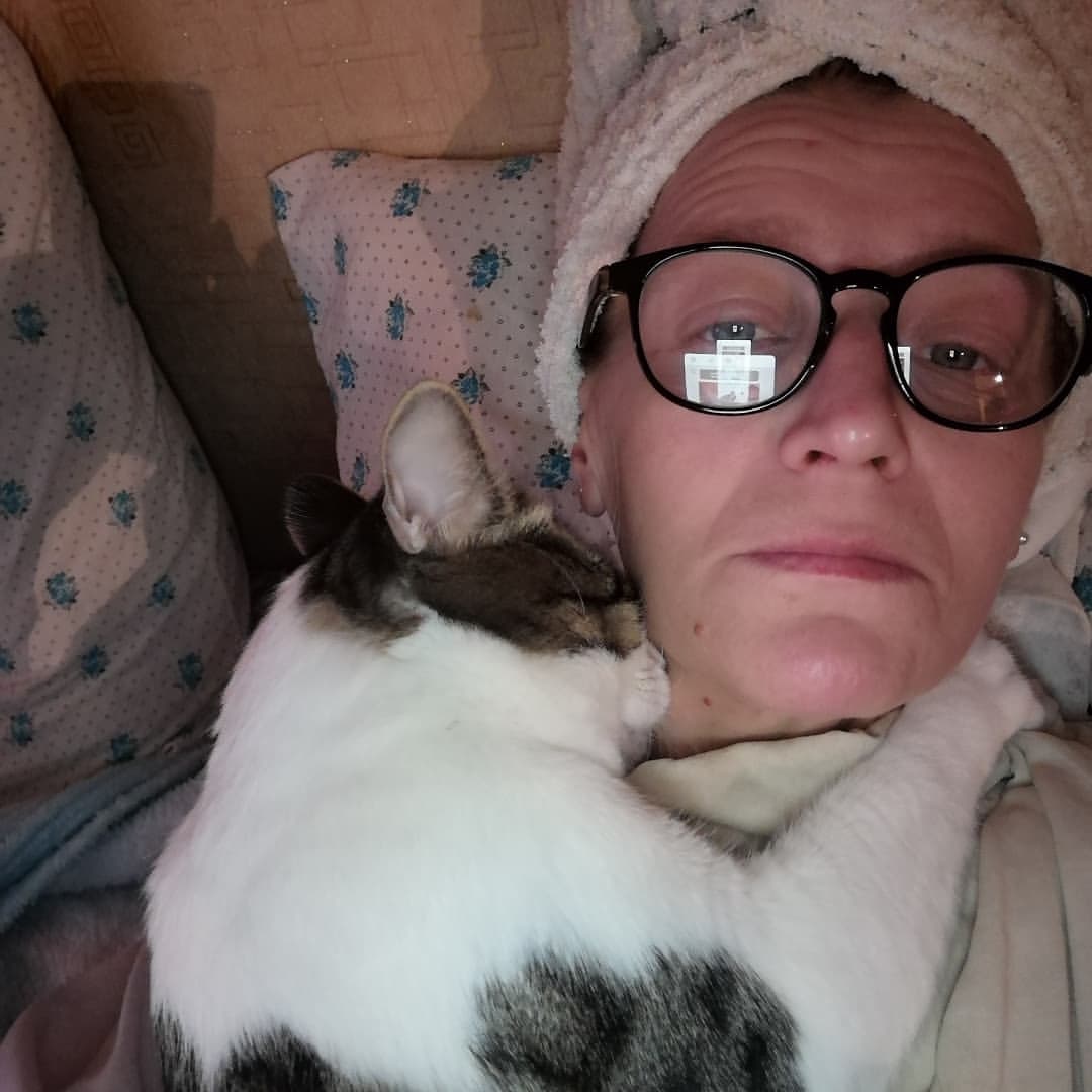 norengar66 в LOOKY — #это любовь 🐱🐱🐱❤️❤️❤️