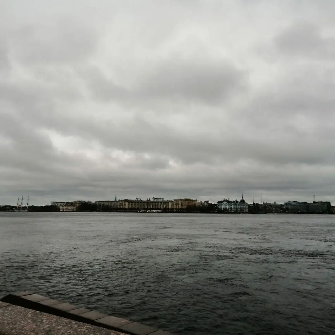 Выходные в #санктпетербург. И хотя #городнаневе встретил нас дождем, уютные посиделки с @gurinovich.o согрели нас домашним теплом,  #оранжереяботаническогосада раскрасила зеленью этот ноябрь, а #эрарта_музей позволила посмотреть по новому на искусство. #маленькиепутешествия #повторимобязательно