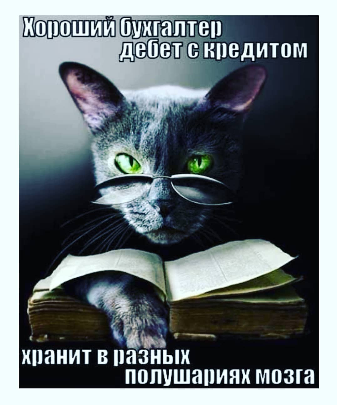 plaole в LOOKY. . Коллеги, с празднико...