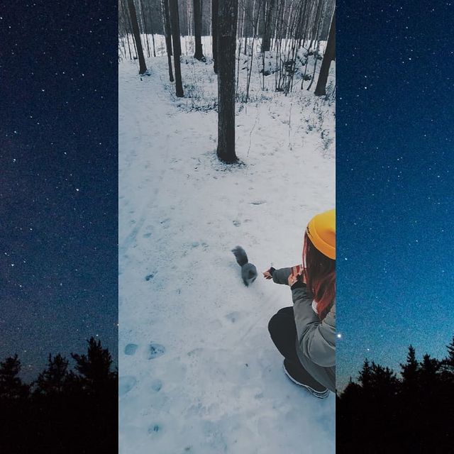 v_a_l_e_r_i_official в LOOKY. . 🐿🌲🎄