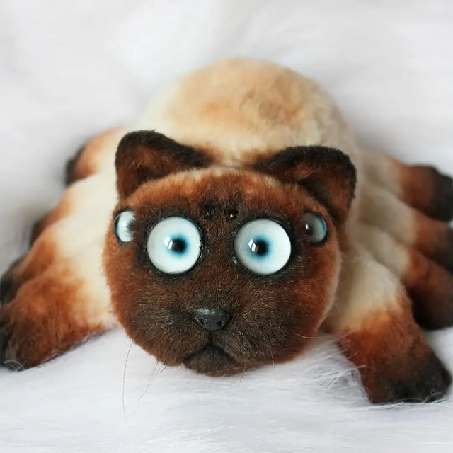 atola.name в LOOKY. #кот,#паук,#котопаук,#паукот,#игрушкисвоимируками,#игрушкавподарок,#натюр,#реалистичнаяигрушка,#spider,#cat,#mew_gallery,#antitaxidermy. Котопаук, кот-паук и...