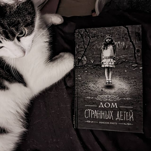 dana_kerroll в LOOKY. #кот,#книга,#чтопочитать,#чтиво,#домстранныхдетей,#рекомендую,#freak,#freaky. Итак, из хорошего. Б...