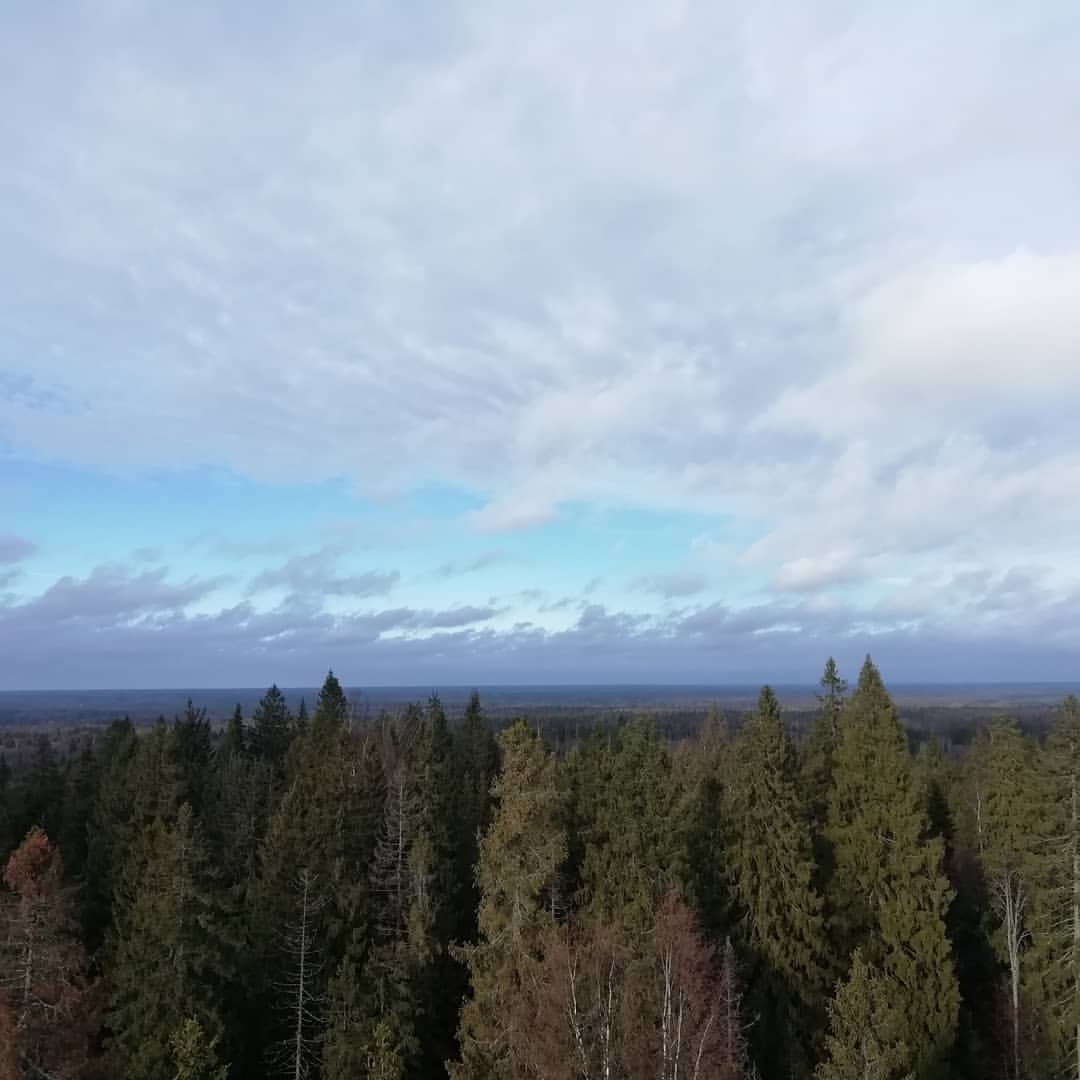serggikommail.ru в LOOKY — фото 3