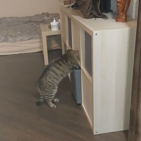 oksandrolon в LOOKY. . Выдвинул короб он то...