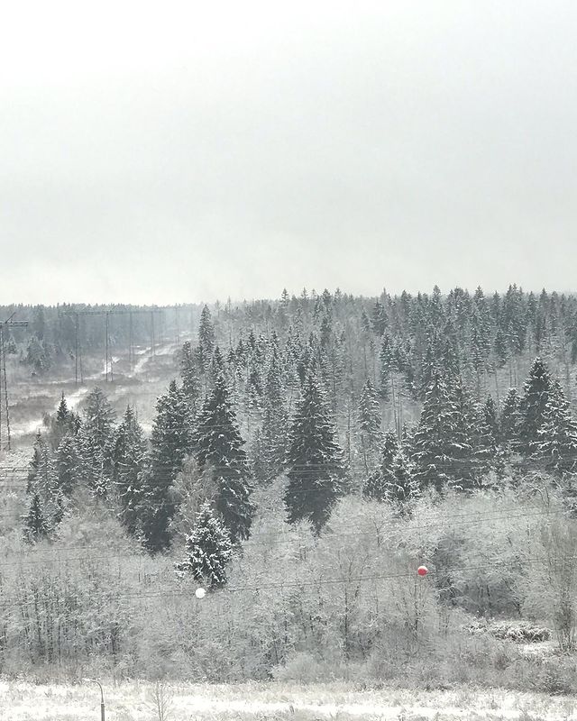 veta2801 в LOOKY. . Не могу оторвать гла...