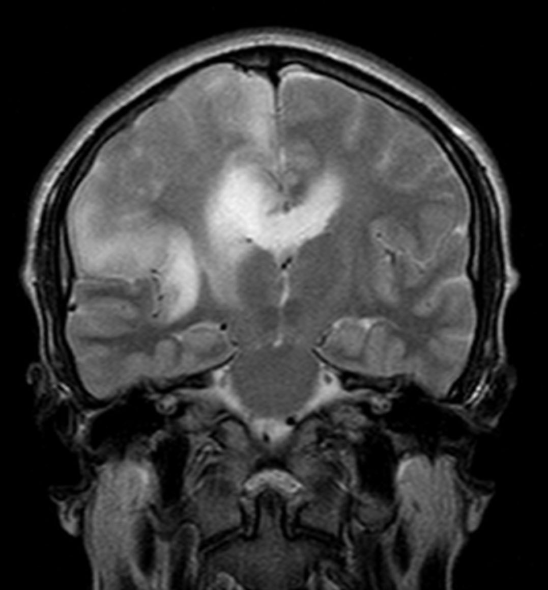 russianradiology в LOOKY — фото 8