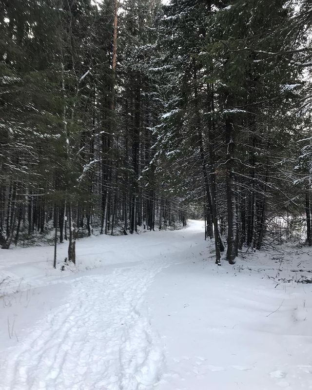 step2221 в LOOKY. . Зима близко! ❄️☃️