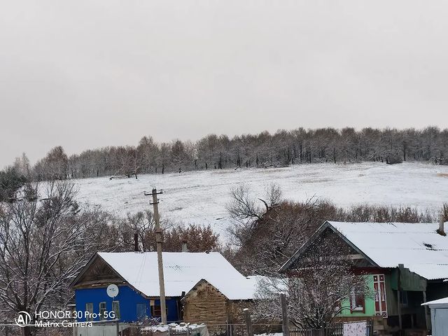 evgeniikoledov в LOOKY. . null