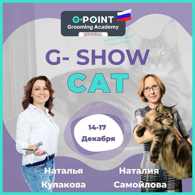 mycatgrooming в LOOKY. #обучениегрумингукошек,#шоугрумингкошек,#грумер,#груминг,#грумингнашевсе,#грумерыроссии. Ура! Дождались!
Это ...