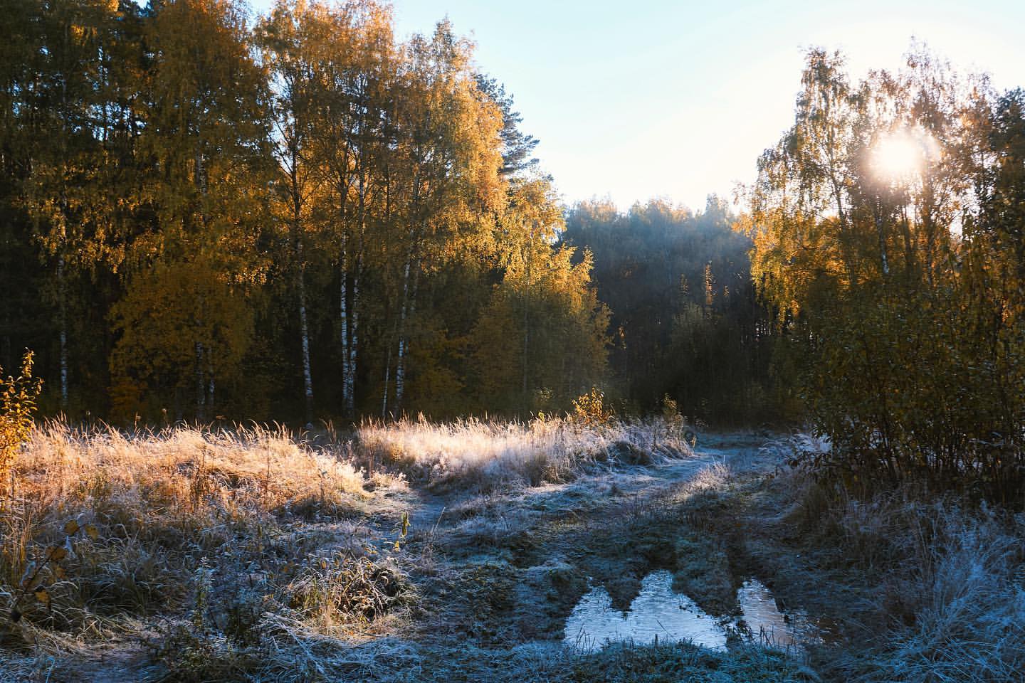 egorgoose в LOOKY. . ❄️🍂