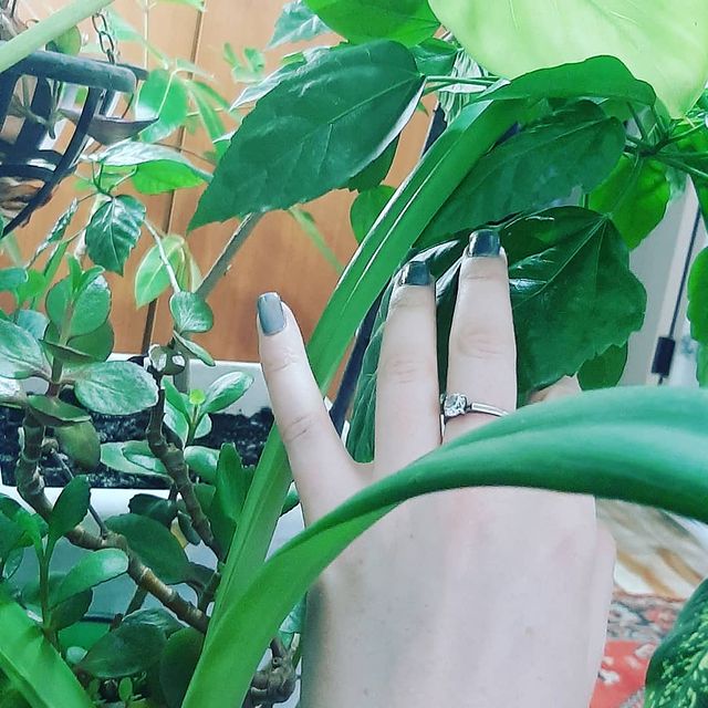 maeko_382 в LOOKY. #цветы,#люблю,#комнатныецветы,#домашниецветы,#flowers,#green,#just,#loveit. Наверное, это мой ра...