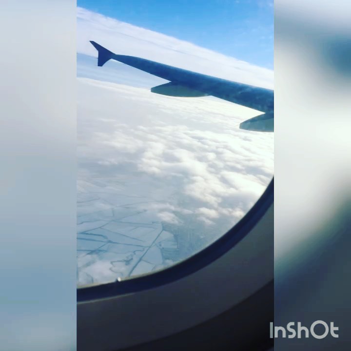 zalatoyyy_7 в LOOKY. . null