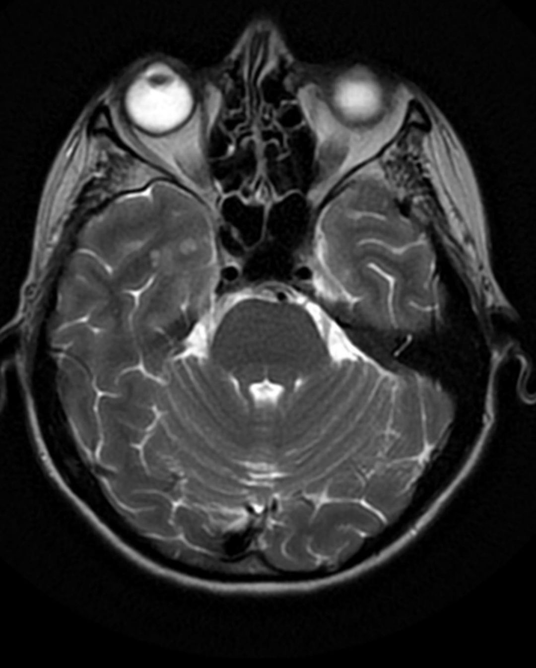 russianradiology в LOOKY — фото 3