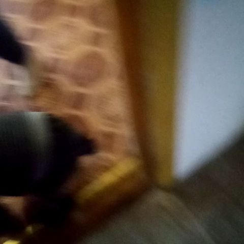 ALEXANDER в LOOKY. . Пёс матрос