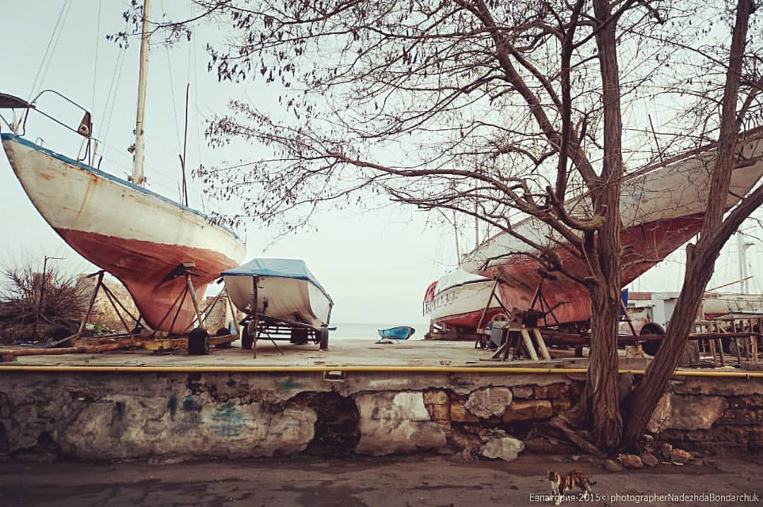 nadezhda__bondarchuk в LOOKY — фото 5