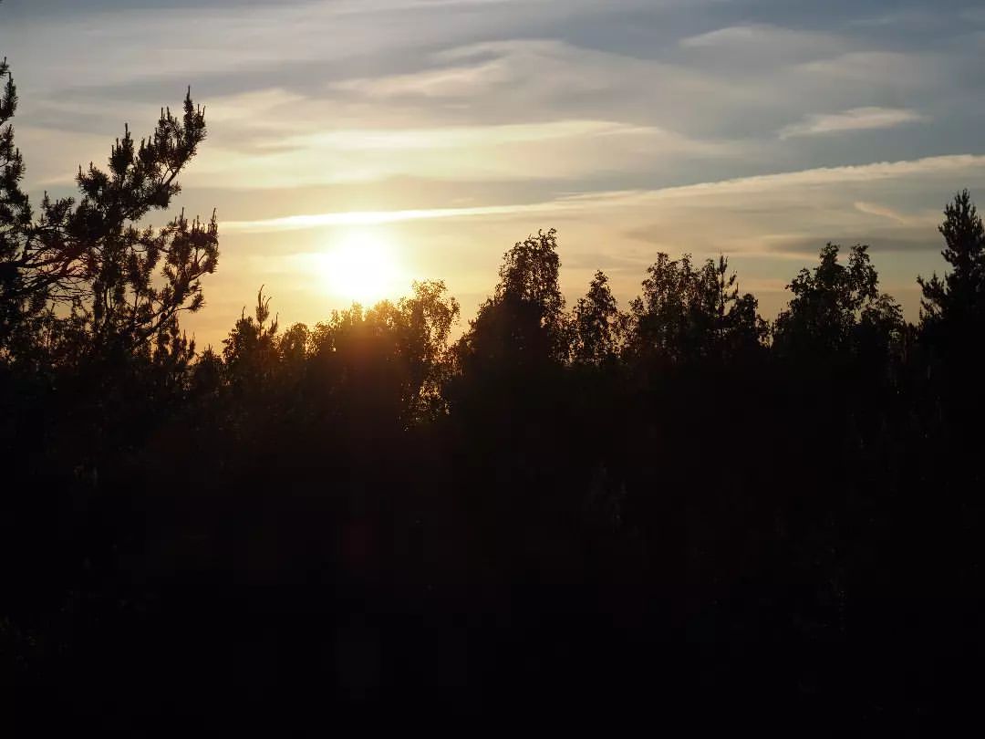 #nature#naturelife#naturephotography#callofthenature#naturephotography#wildlife#forest#sunset#tailwindphoto#природа#дикаяжизнь#зовприроды#фотографииприроды#лес#закат