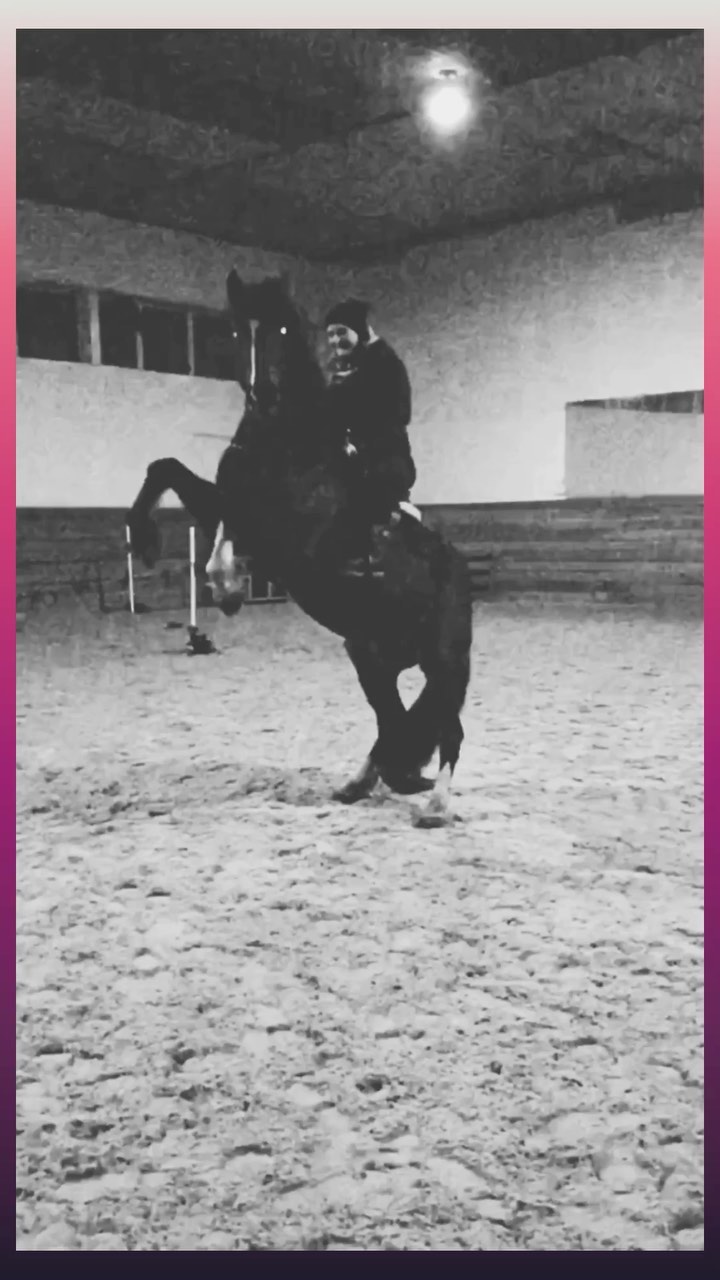 sofia.andreevnaa в LOOKY. . Никто не заряжает та...
