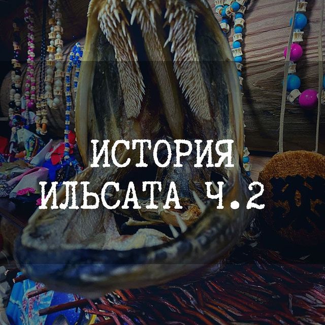 ilsat_tomsk в LOOKY. #селькупы_томска,#кмнс_ильсат,#селькупский_язык. Ильсат: продолжение ...