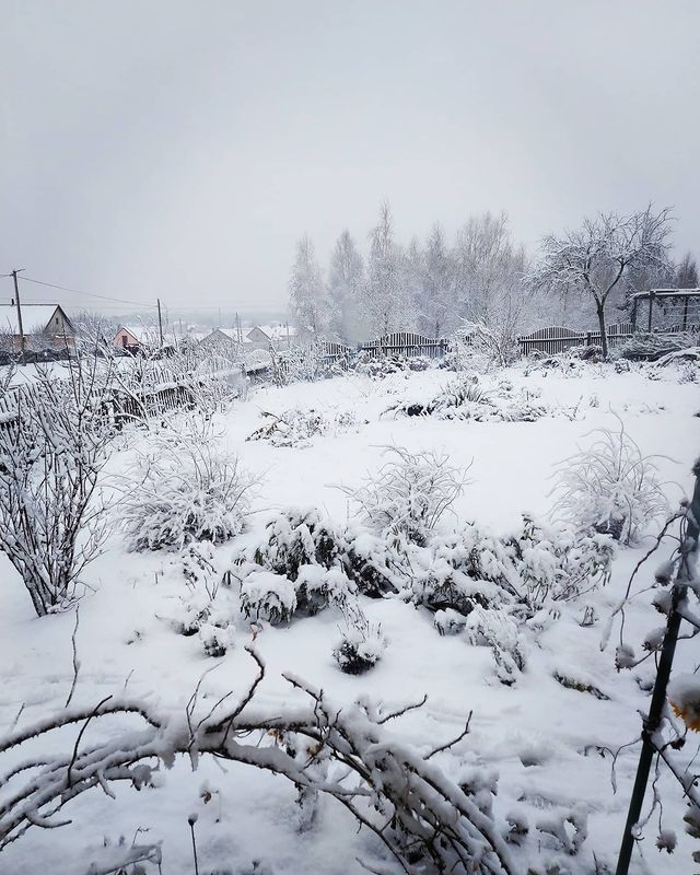 bad.karma_inc в LOOKY. . Восторг 😍