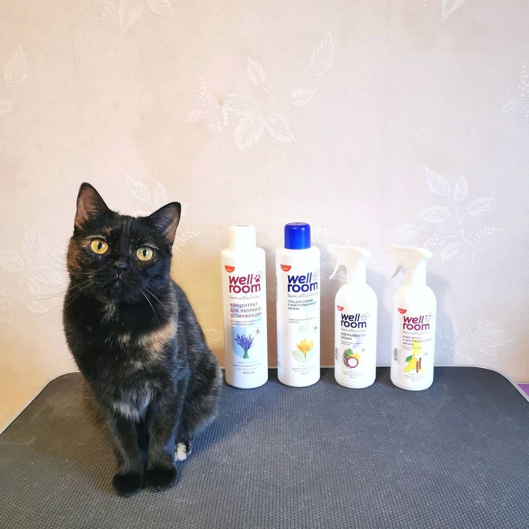 mycatgrooming in LOOKY. . - Крутяк! - с важным...