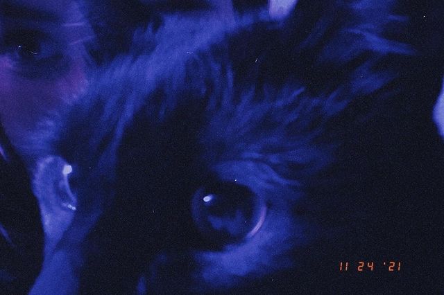 sadeyes_xx в LOOKY. . Мояшкин 💜