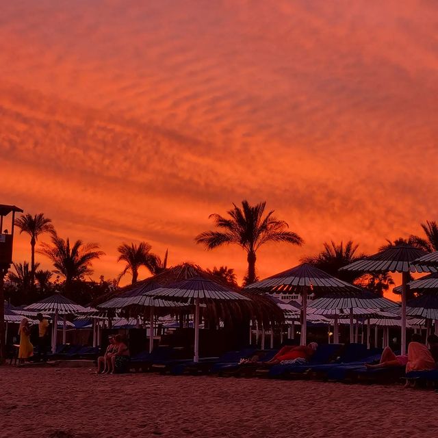 ntldr в LOOKY. #майами. Sunset in egypt, #ма...