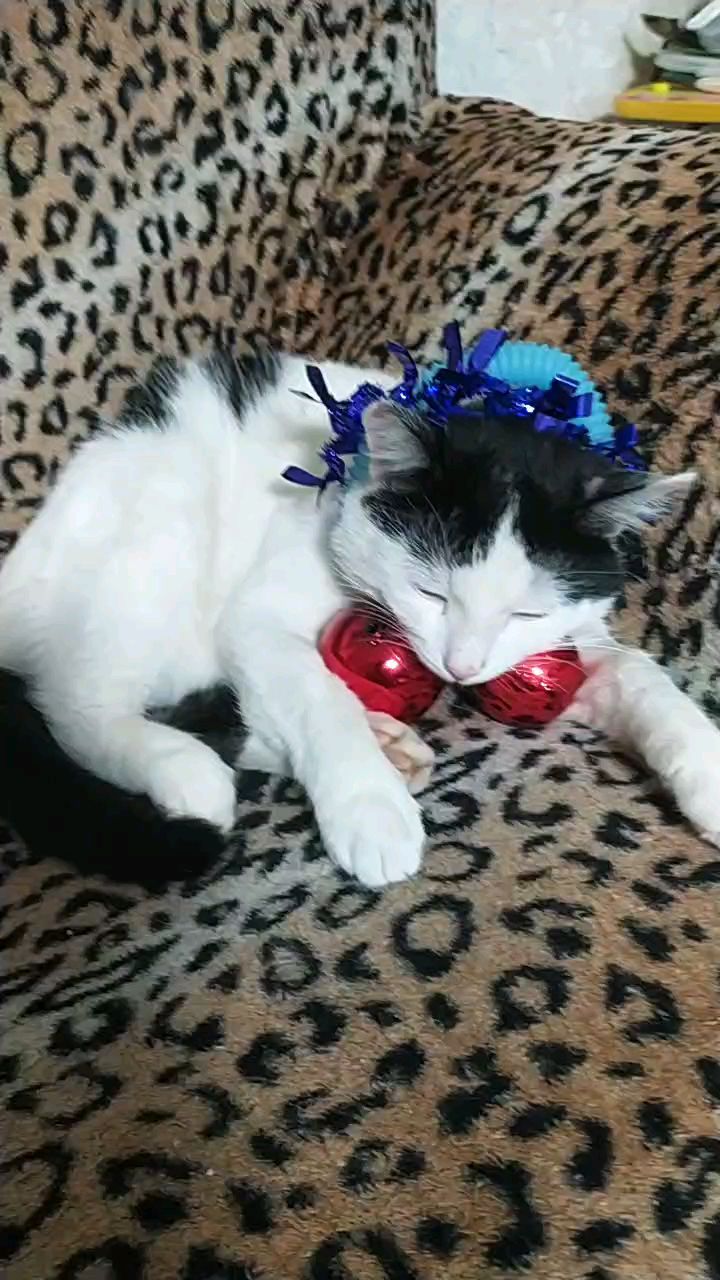 llliliana3 в LOOKY. . Скоро Новый Год🎄