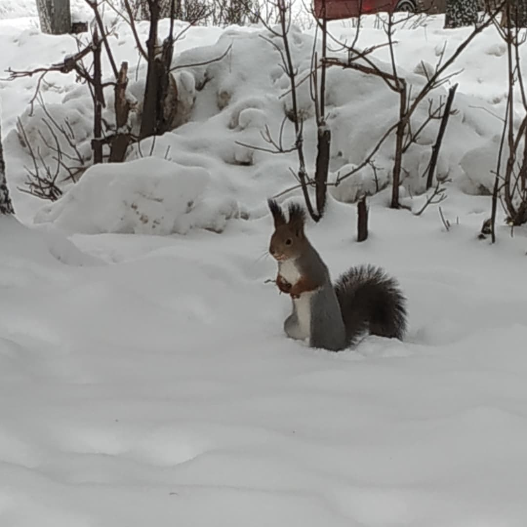 angel_aliushka_demon в LOOKY — фото 4