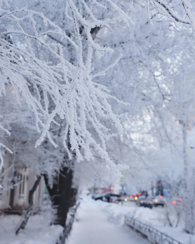 _yulya_goroshko_ в LOOKY. #Хабаровск,#снег,#погода,#khv_photo,#khv,#snow,#november,#beautiful,#russiaphoto,#городароссии,#natgeoru,#rtgtv,#insturist,#городскойпейзаж,#городские_виды,#FarEast_KHV,#FarEast_Russia,#ig_khabarovsk. Зимняя сказка в Хаба...