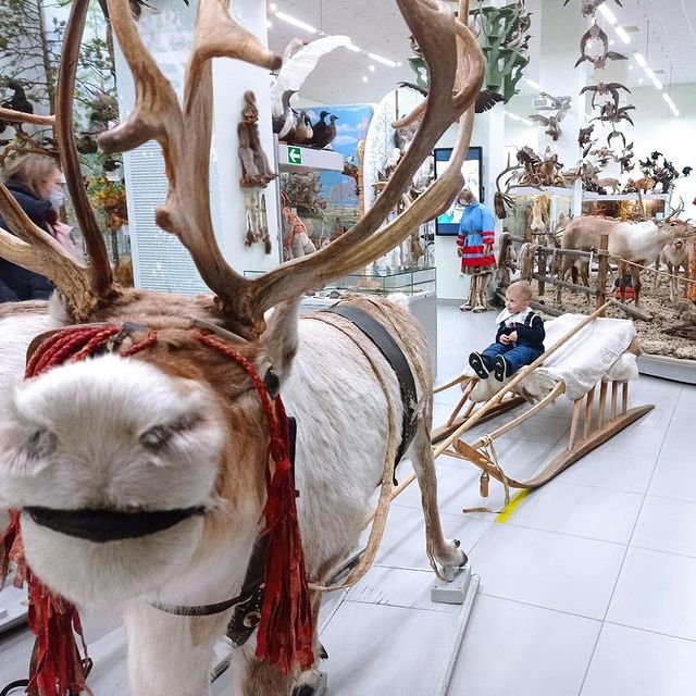 v_a_l_e_r_i_official в LOOKY. . Ноябрь 2021❤