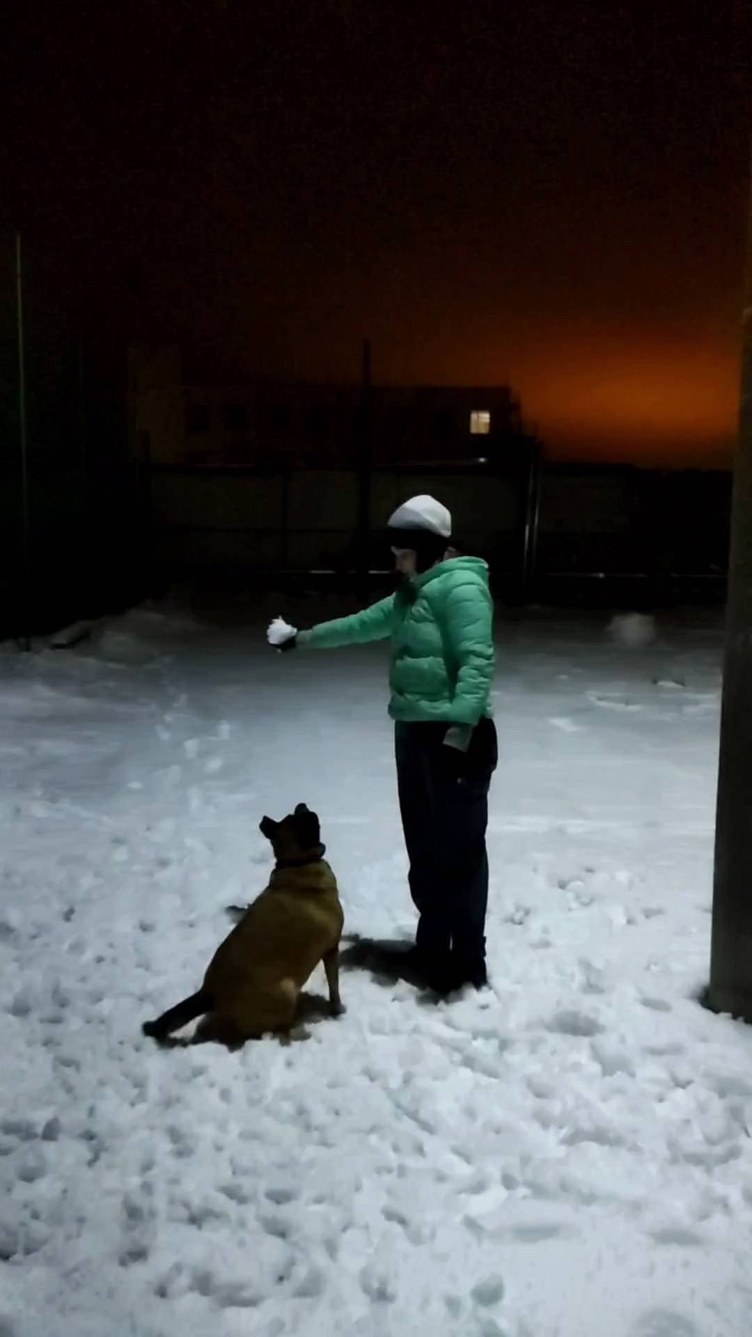ars_diretore в LOOKY. . 🐶❄