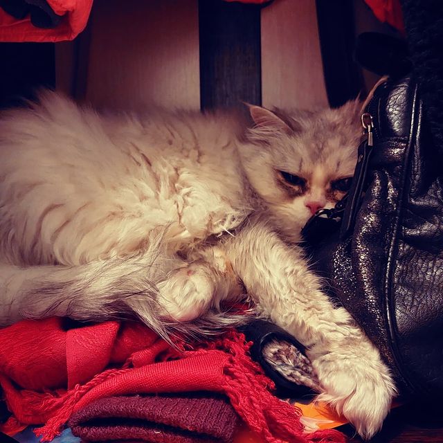 starkirinov в LOOKY. . Бывают моменты когда...