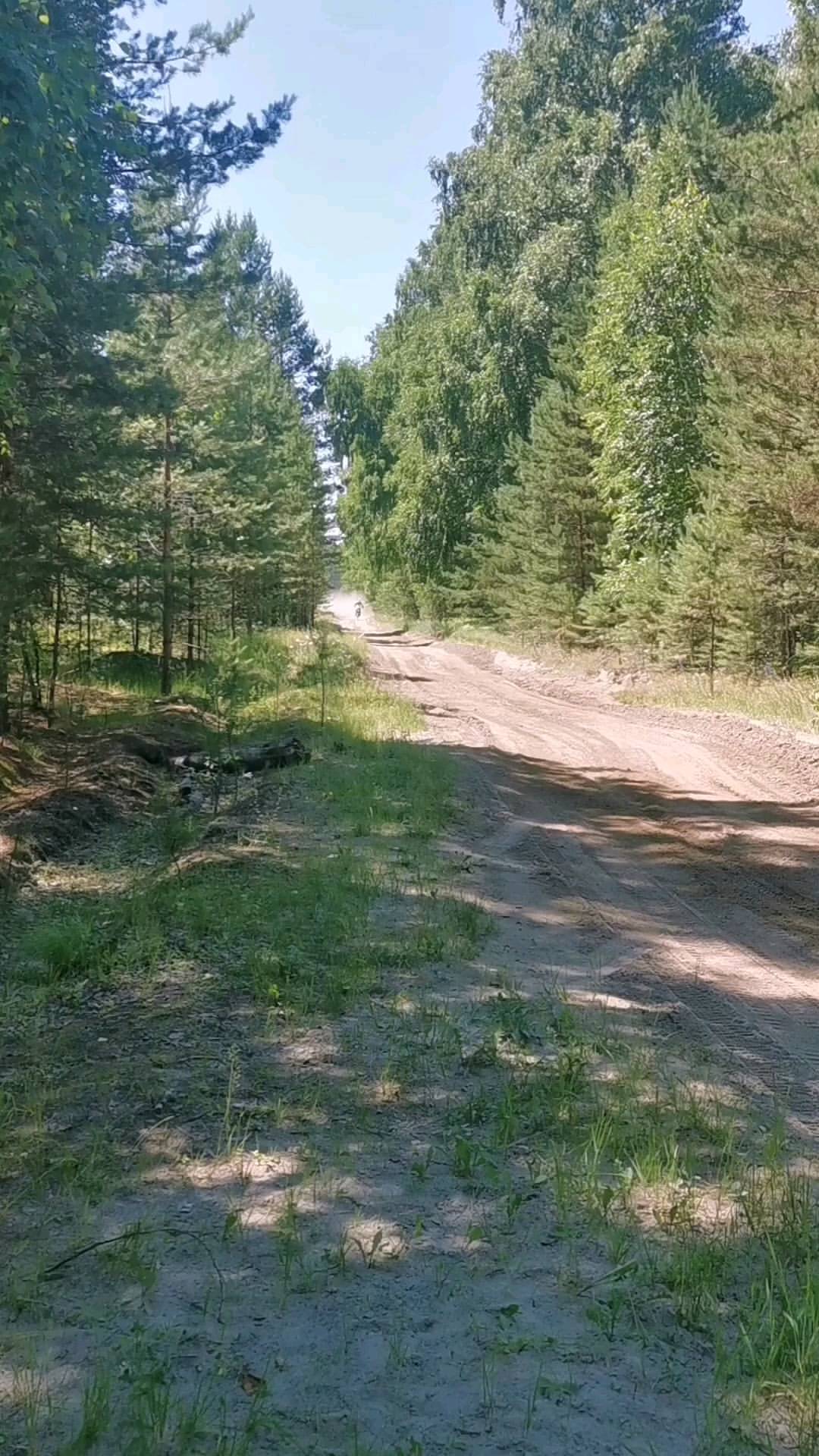 mpg_1979 в LOOKY. #silkwayrally,#камаз,#раллишелковыйпуть. Чего только в лесу н...