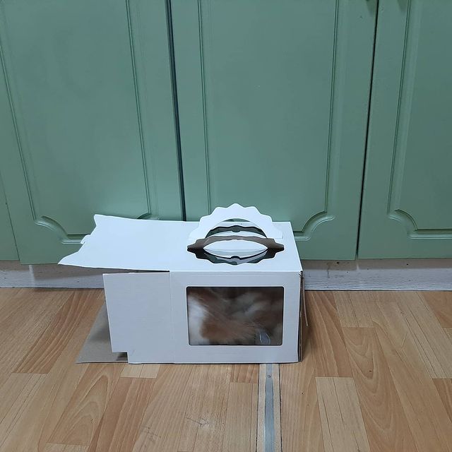 maxan_2019 в LOOKY. . Живой интерес, похож...