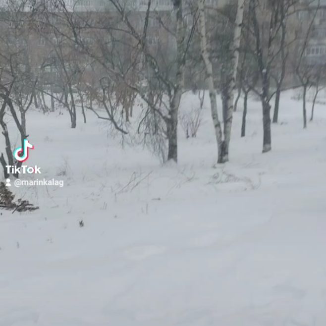 marinkalag в LOOKY. . null