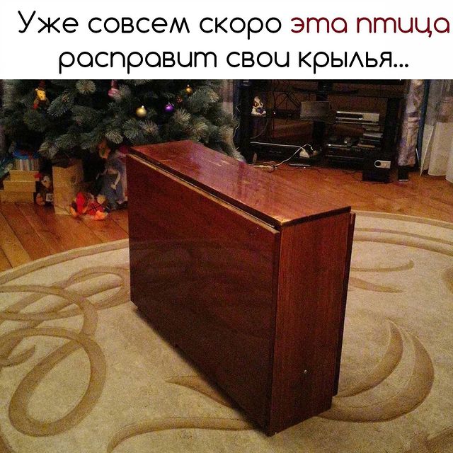 kryugeroff в LOOKY. . null