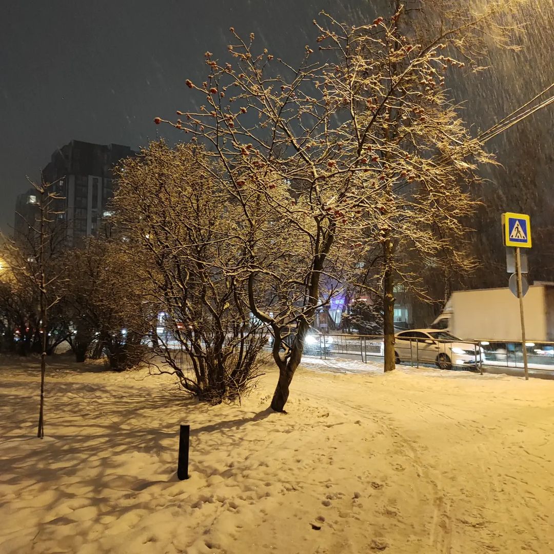 Зима пришла #зима #снег #winter