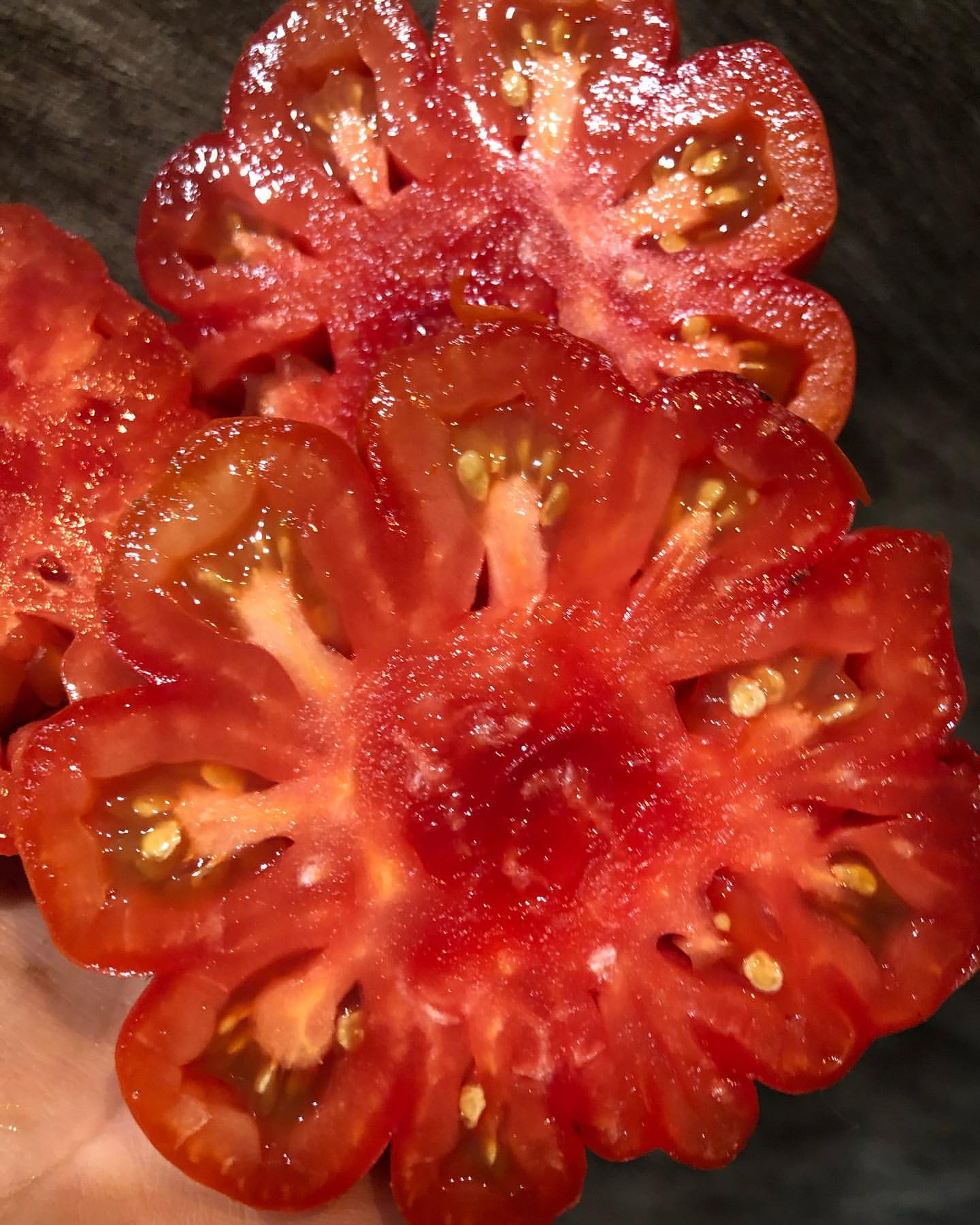 katalog.kom_nata_tomatoff в LOOKY — фото 2