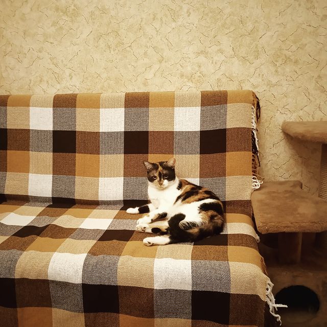 ok.oreshkina в LOOKY. . 🤣когда аксессуары п...