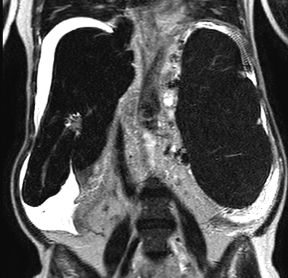 russianradiology в LOOKY — фото 2