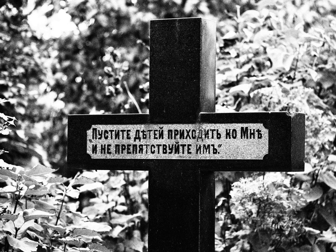 darkandnoirmood в LOOKY — фото 5
