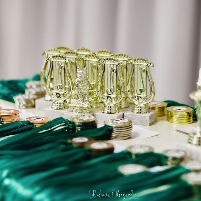 grandsuetin в LOOKY. #Photosniper,#ratimir,#evaphoto,#Photographer_at_a_party,#фотограф_на_вечеринку. В минувшие выходные,...